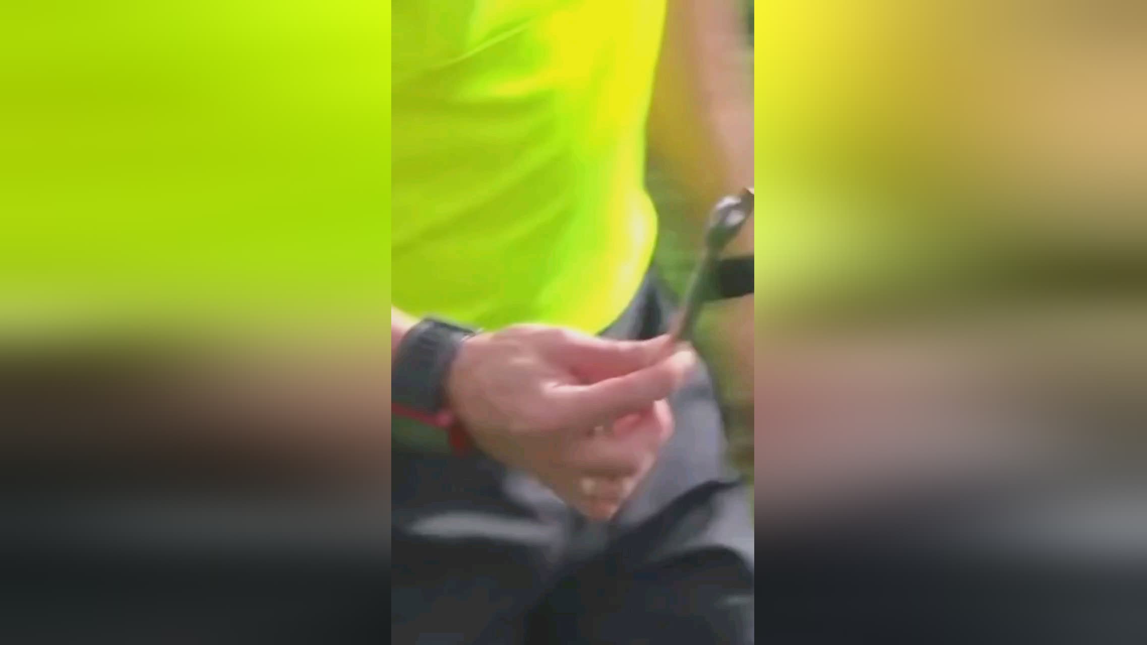 言这