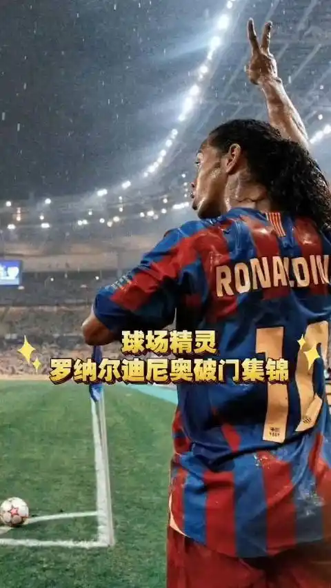 他们的表现